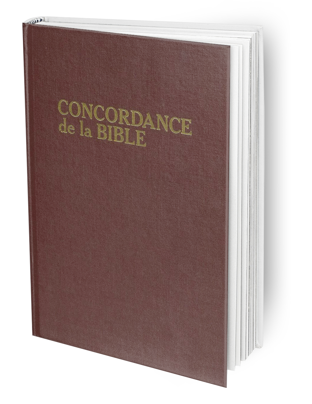 online bible concordance